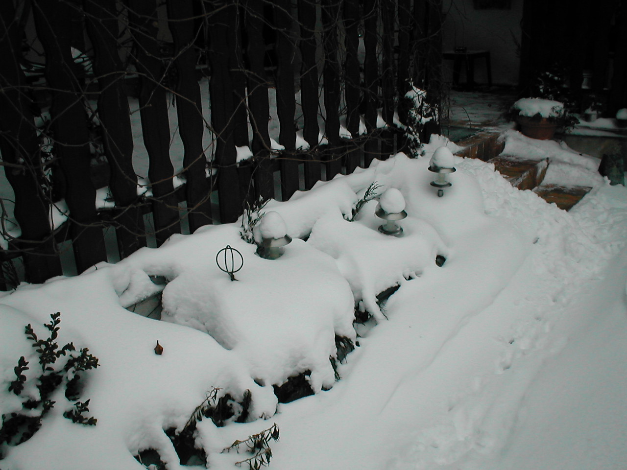 Schnee 2010