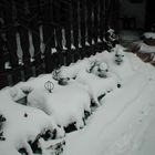 Schnee 2010