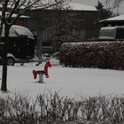Schnee 2010 im Emsland.. (1)