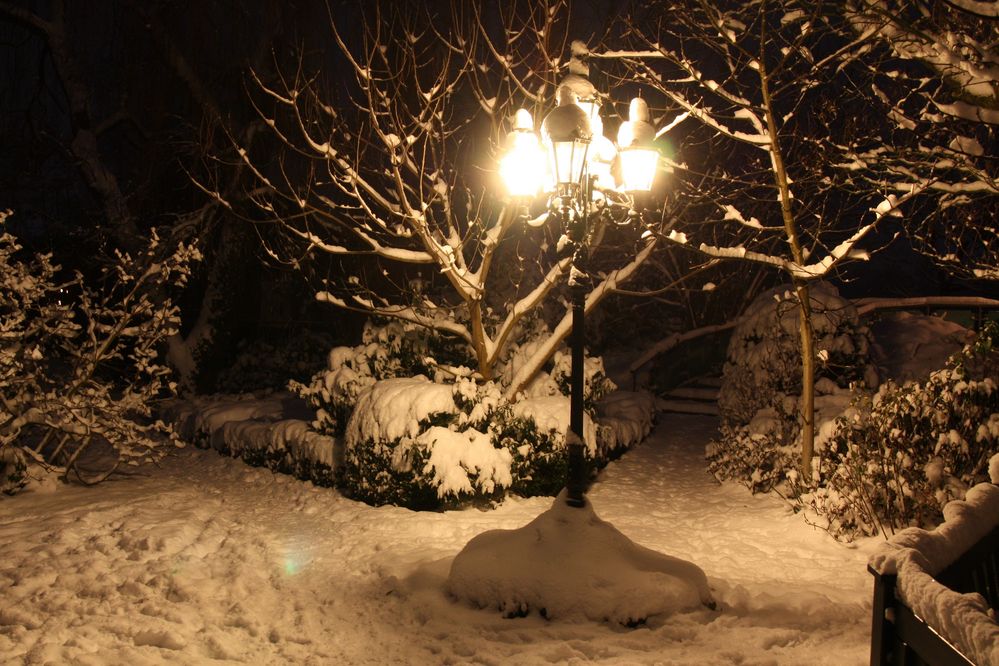 Schnee 2010 im Emsland.. (2)