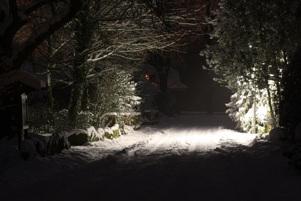 Schnee 2010 im Emsland.. (4)