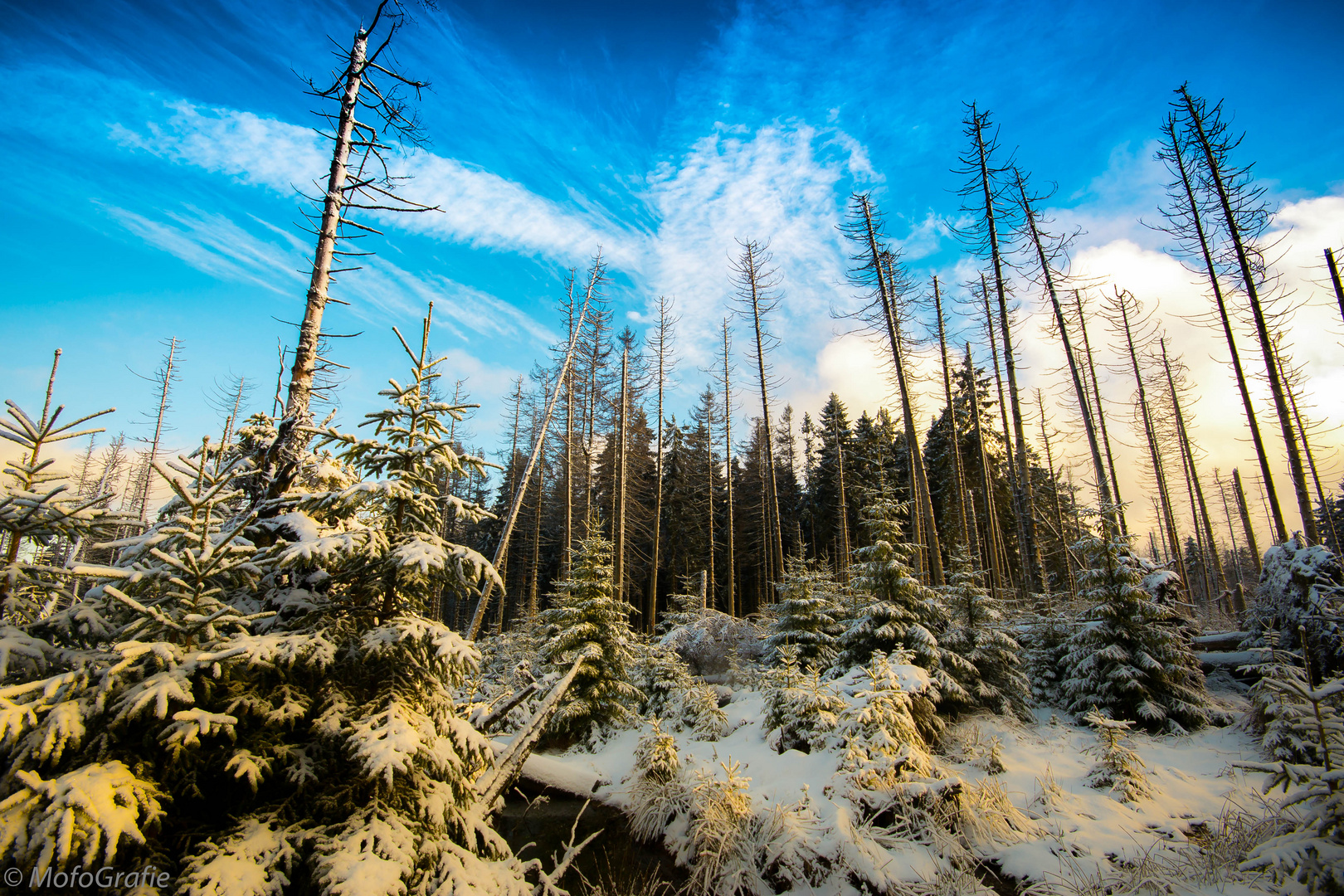 Schnee 2014