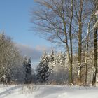 Schnee-5