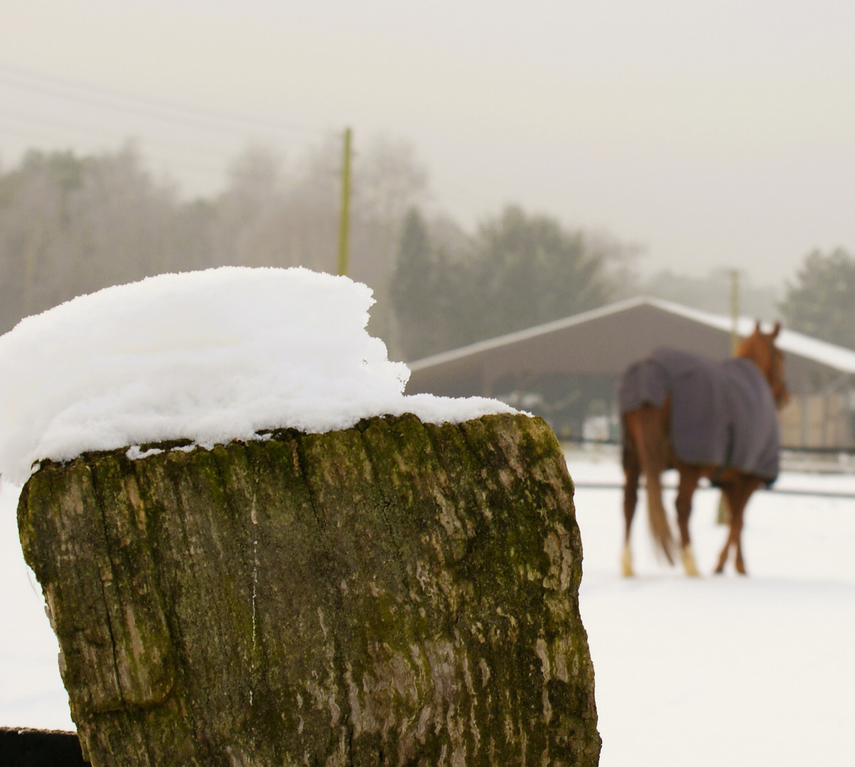 Schnee