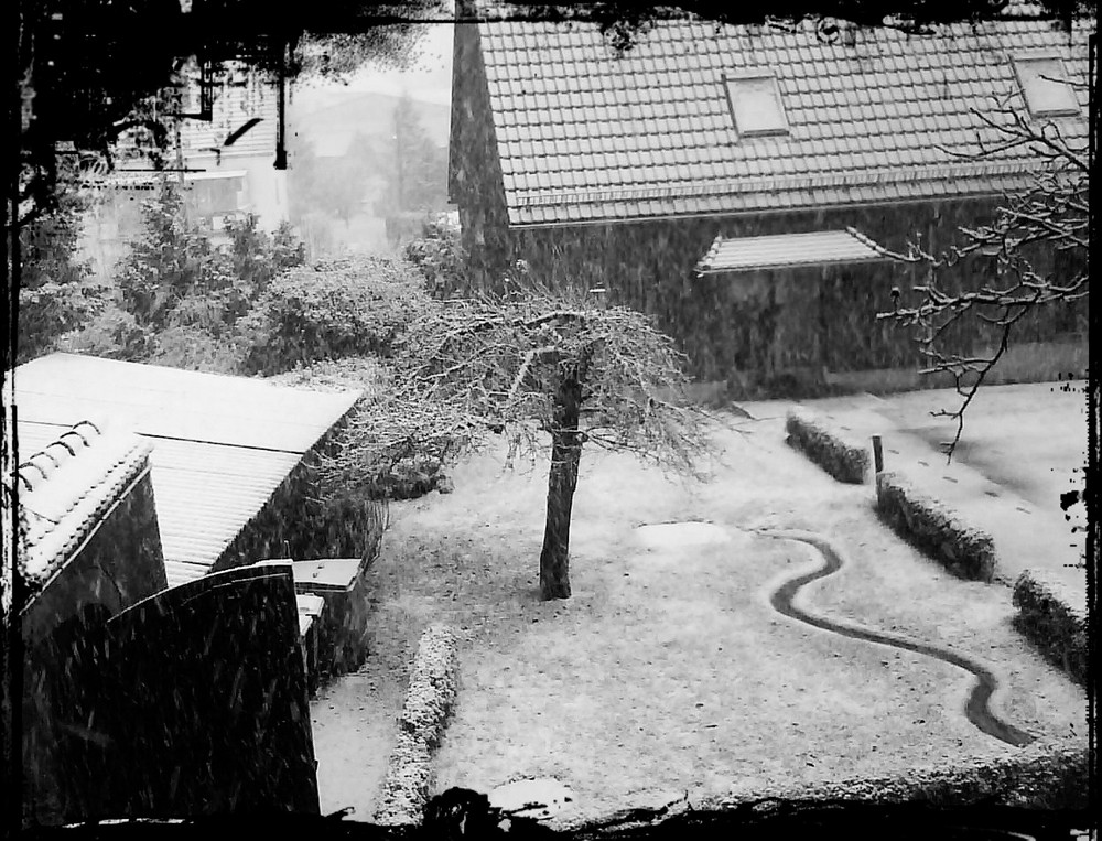 Schnee.*