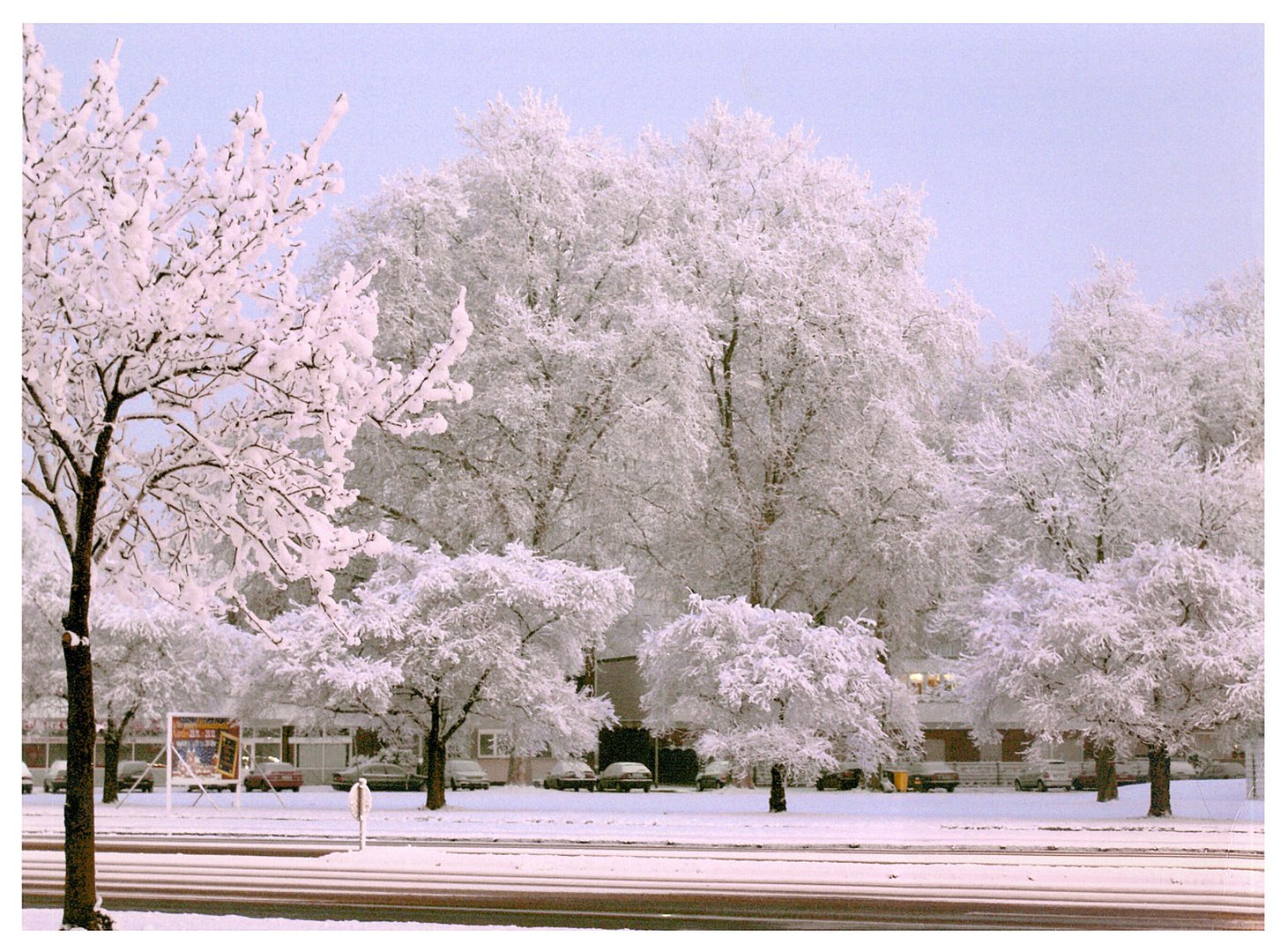 Schnee