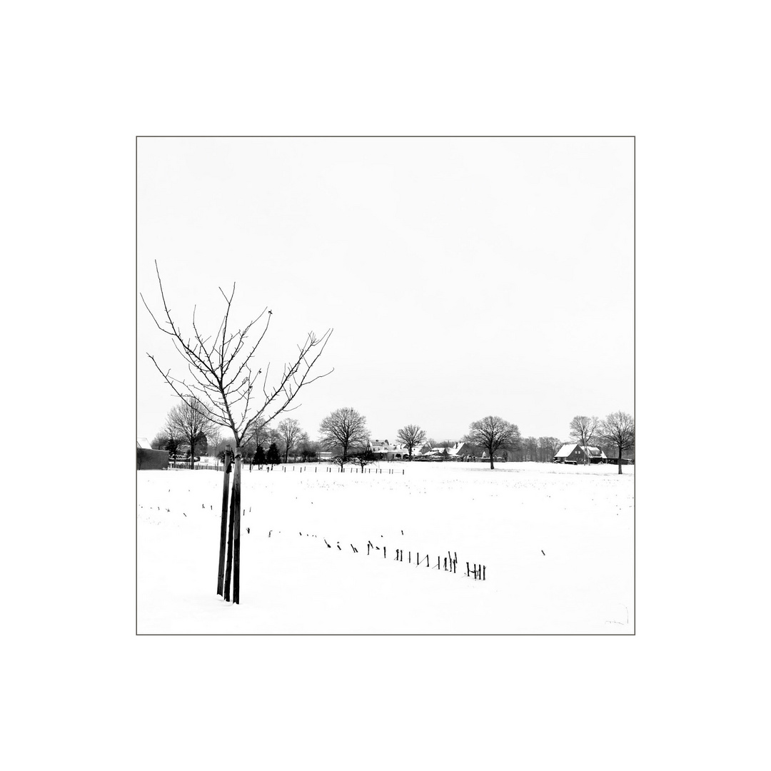 schNee... Foto & Bild fotos, art, fun Bilder auf