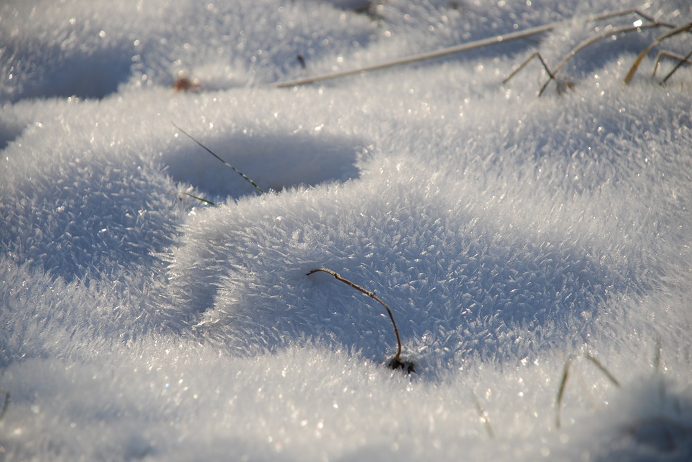 schnee