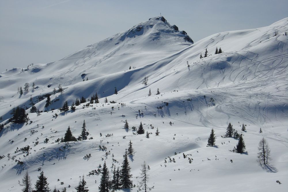 Schnee- Abschieds- Bild