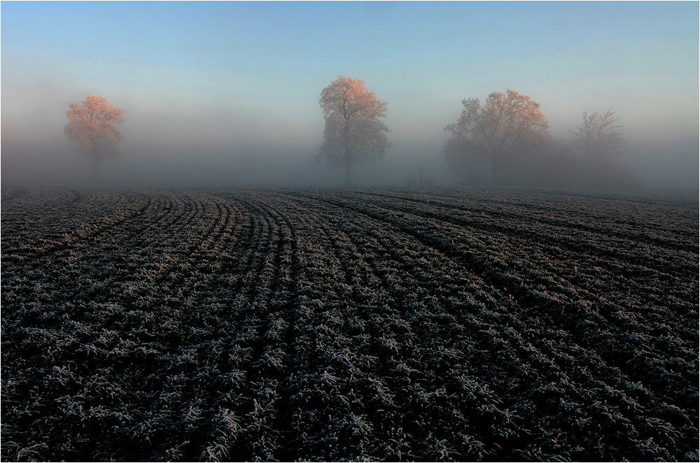 Schnee...