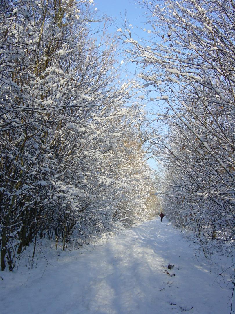 Schnee-Allee