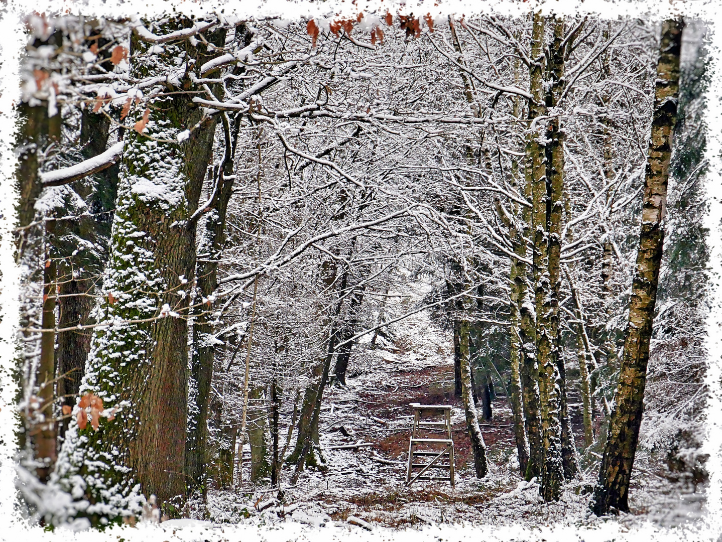 Schnee-Allee