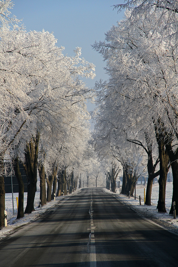 Schnee-Allee