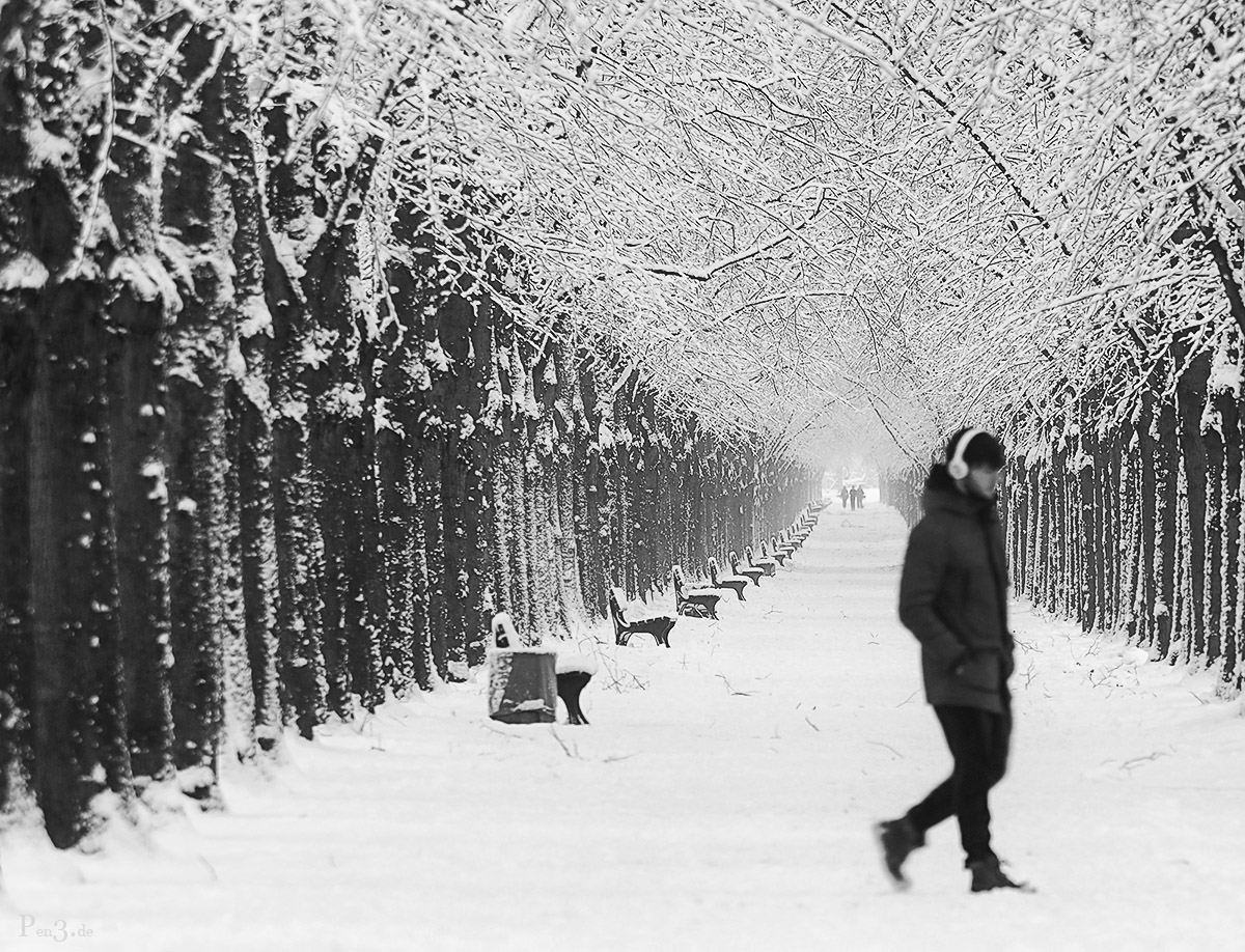 Schnee - Allee