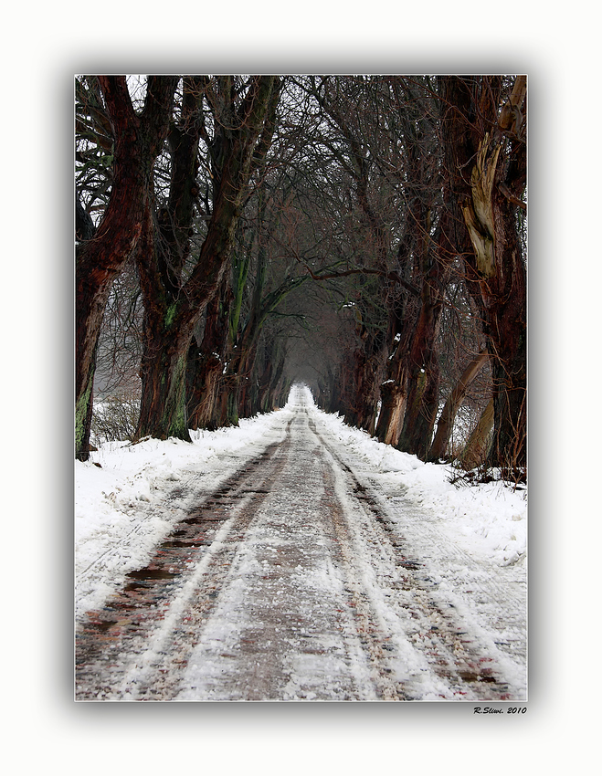 Schnee Allee