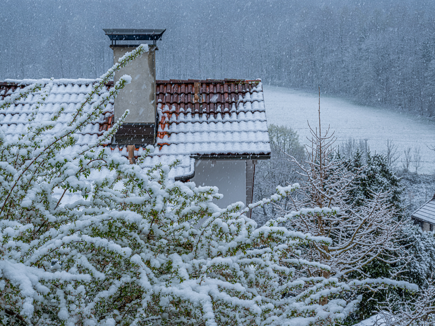 Schnee am 02.04.2022