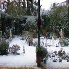 Schnee am 23.1.19 - Das war es wohl - hoffentlich - in diesem Winter