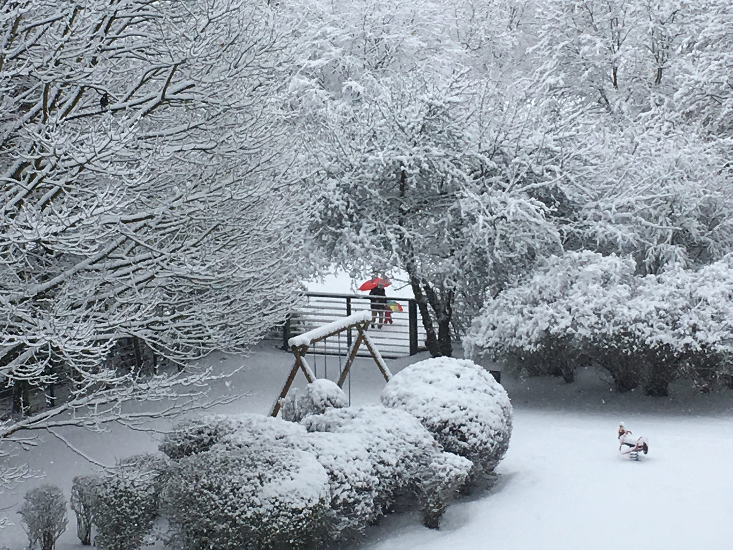 Schnee am 31. Januar 2019