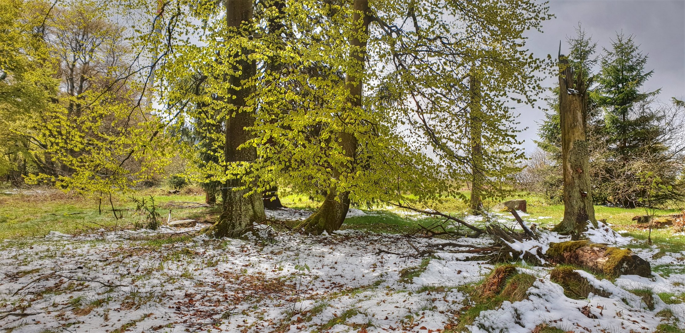 Schnee am 5 Mai 2019