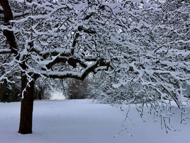 Schnee am Abend vor dem Tauwetter