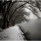 Schnee am Baldeneysee