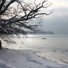 Schnee am Bodensee