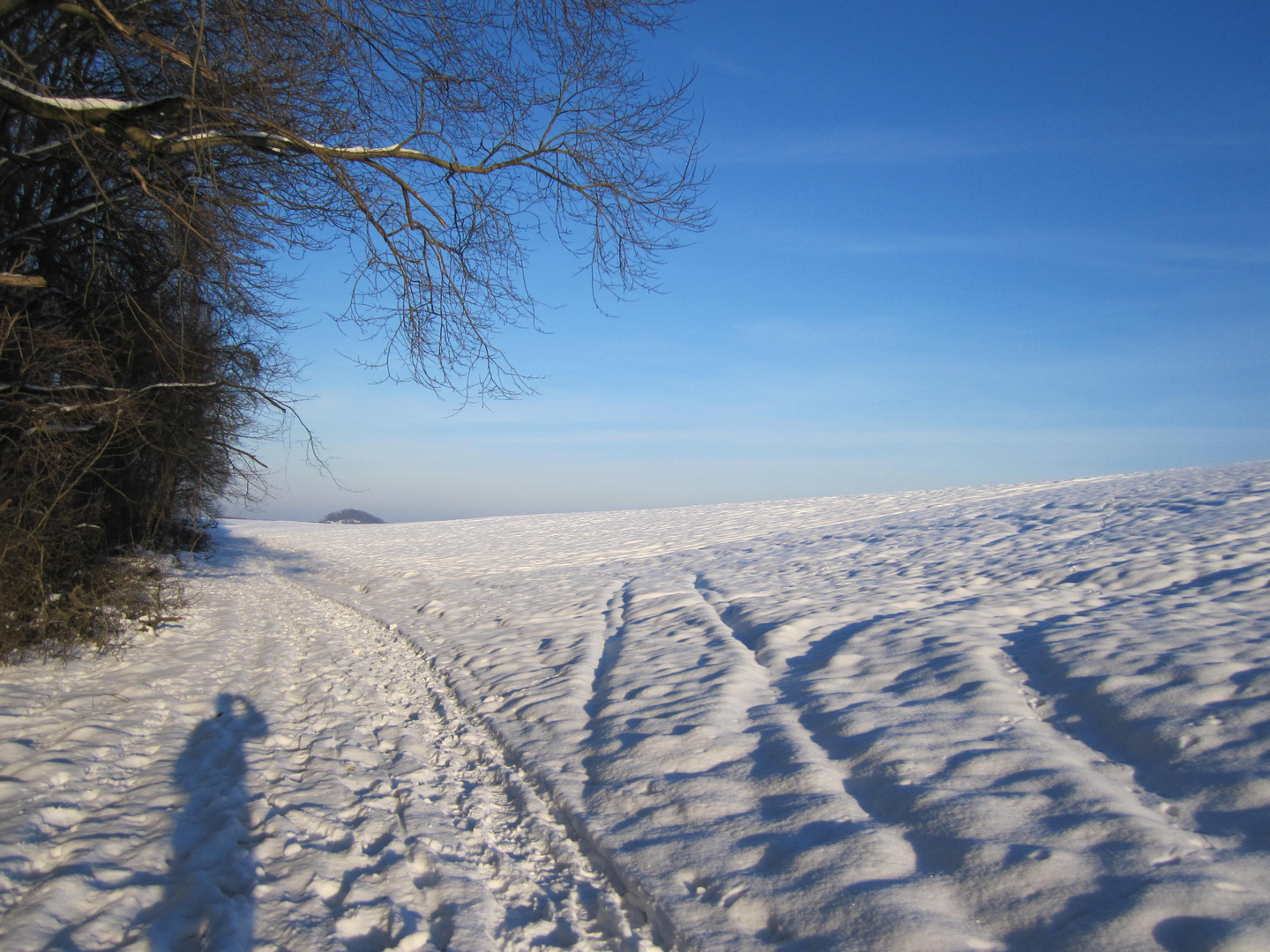 Schnee am Fusse der Schwäbischen Alb