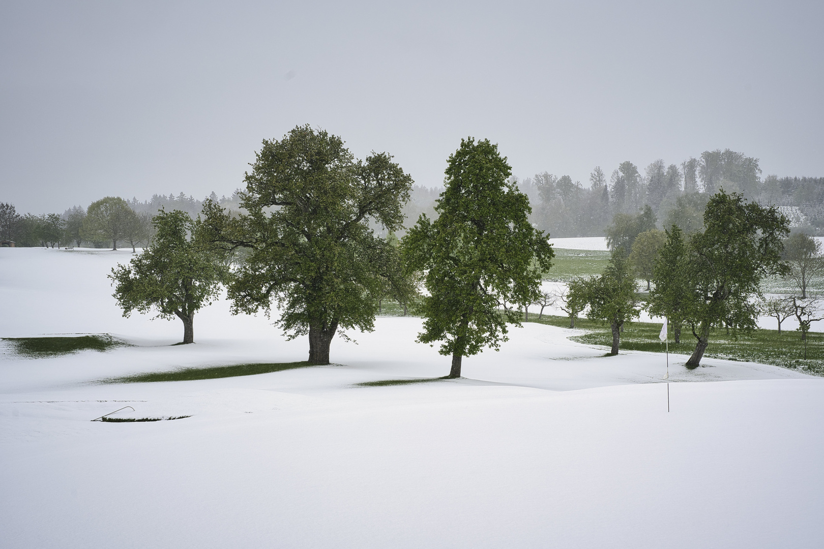 Schnee am Golfrasen