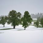 Schnee am Golfrasen