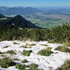 Schnee am Herzogstand im September 2011