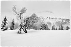 Schnee am Karerpass