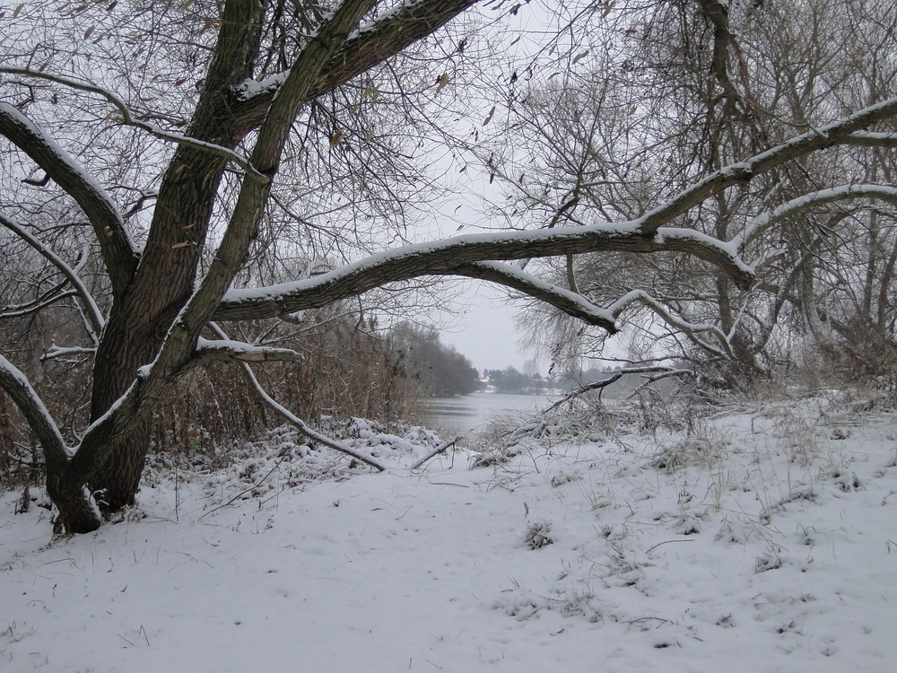 schnee am main