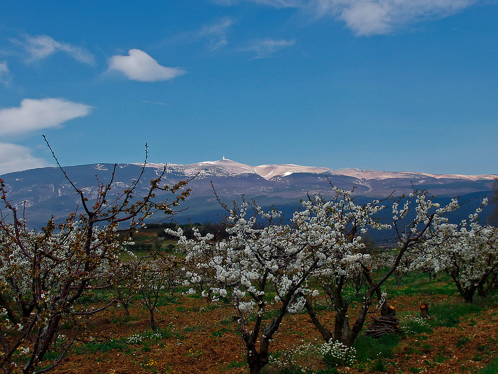 Schnee am Mont Ventoux