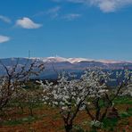 Schnee am Mont Ventoux