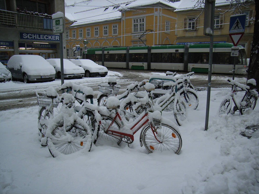 Schnee am Morgen