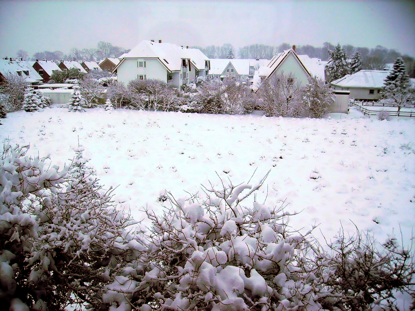 Schnee am Morgen, nur Kummer und Sorgen.