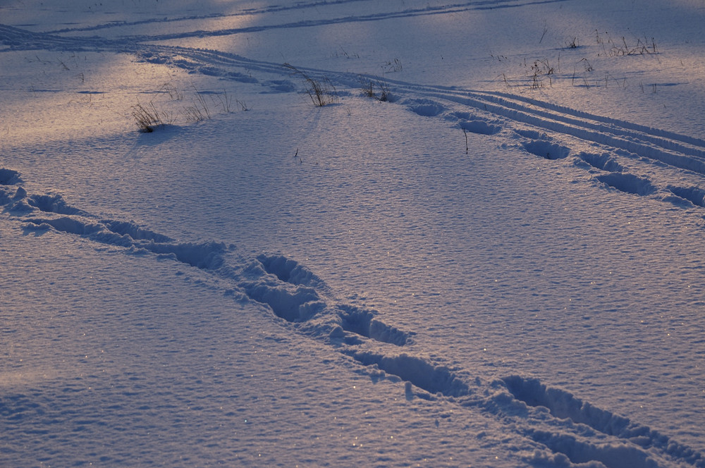 Schnee am Nachmittag