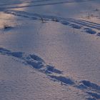 Schnee am Nachmittag