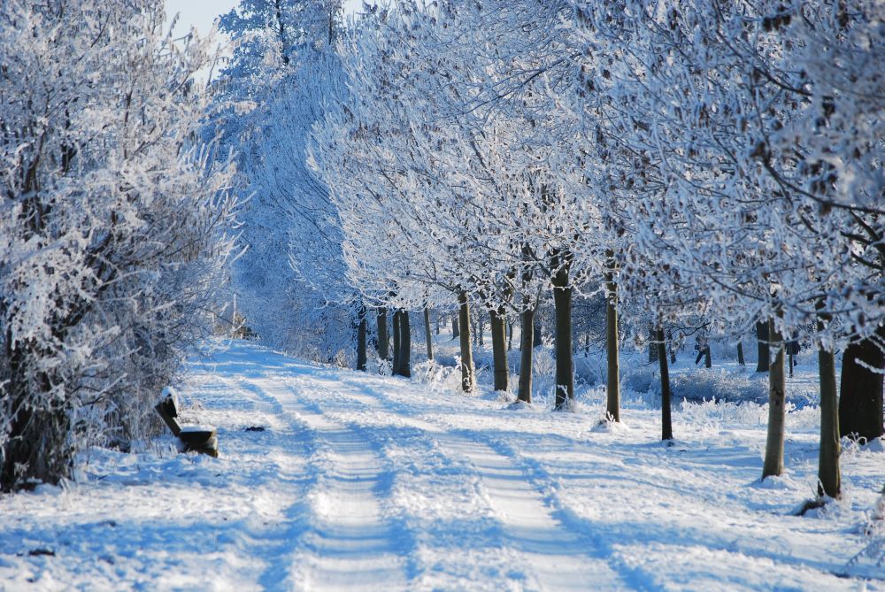 Schnee am Niederrhein