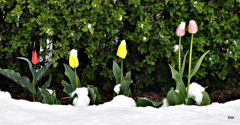 Schnee am Ostersonntag