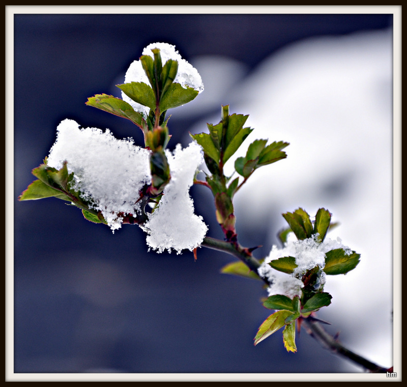 Schnee am Ostersonntag!