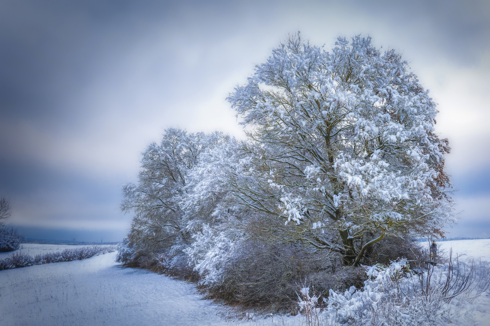 Schnee am Panoramaweg