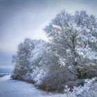 Schnee am Panoramaweg