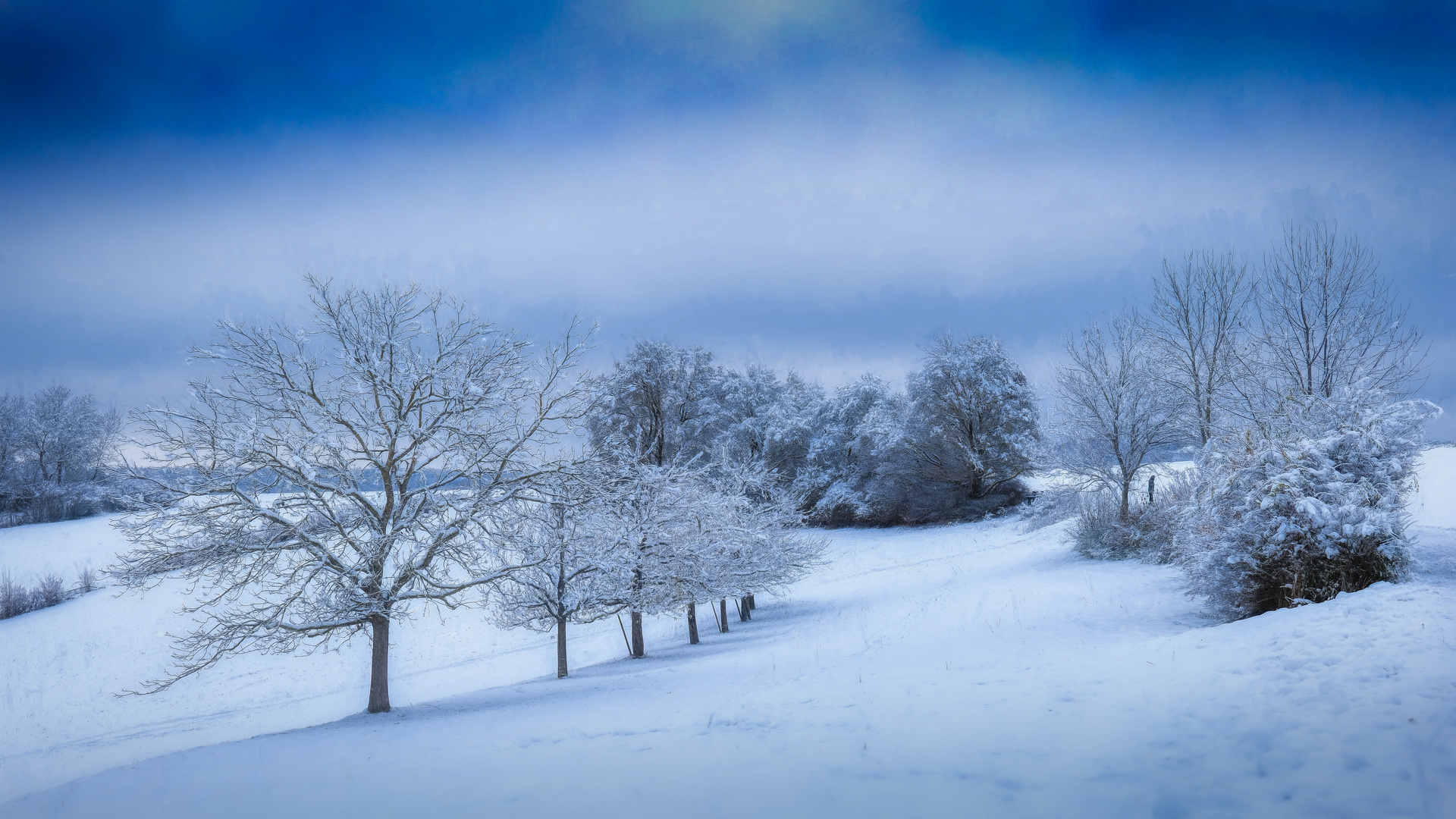 Schnee am Panoramaweg III