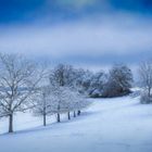 Schnee am Panoramaweg III