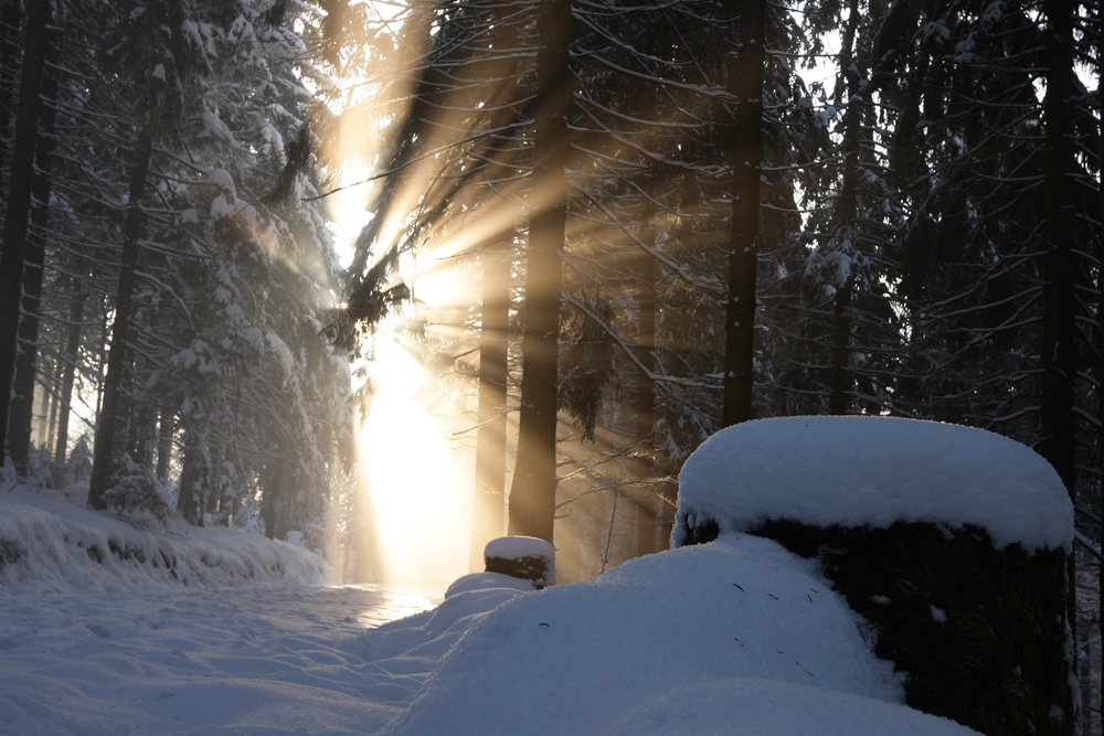 Schnee am Rennsteig