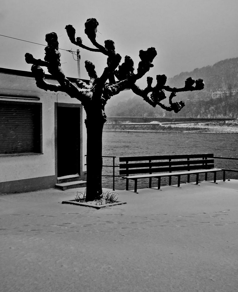 Schnee am Rhein