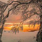 Schnee am Schauinsland bei Freiburg 