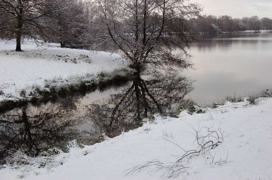 Schnee am See 2