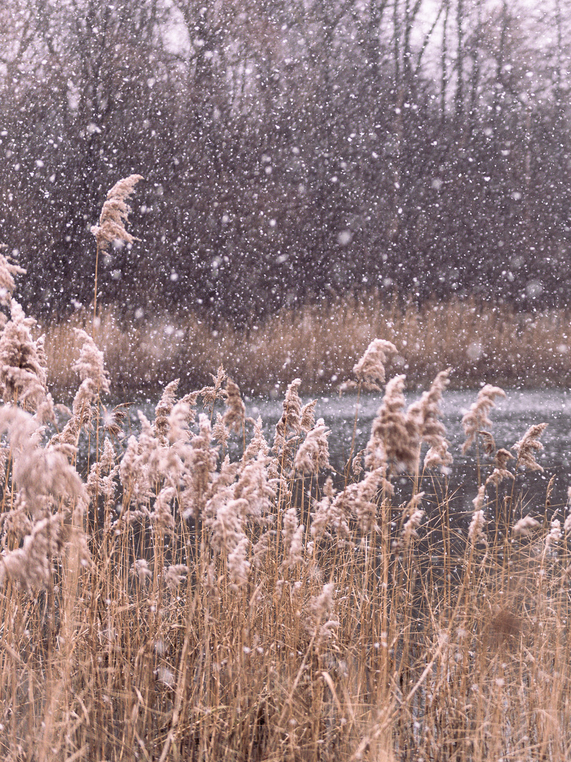 Schnee am See 2 